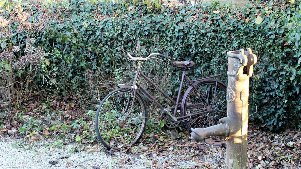 La Petite Jeusseliniere Villa Larchamp Kültér fotó
