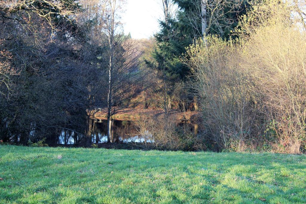 La Petite Jeusseliniere Villa Larchamp Kültér fotó